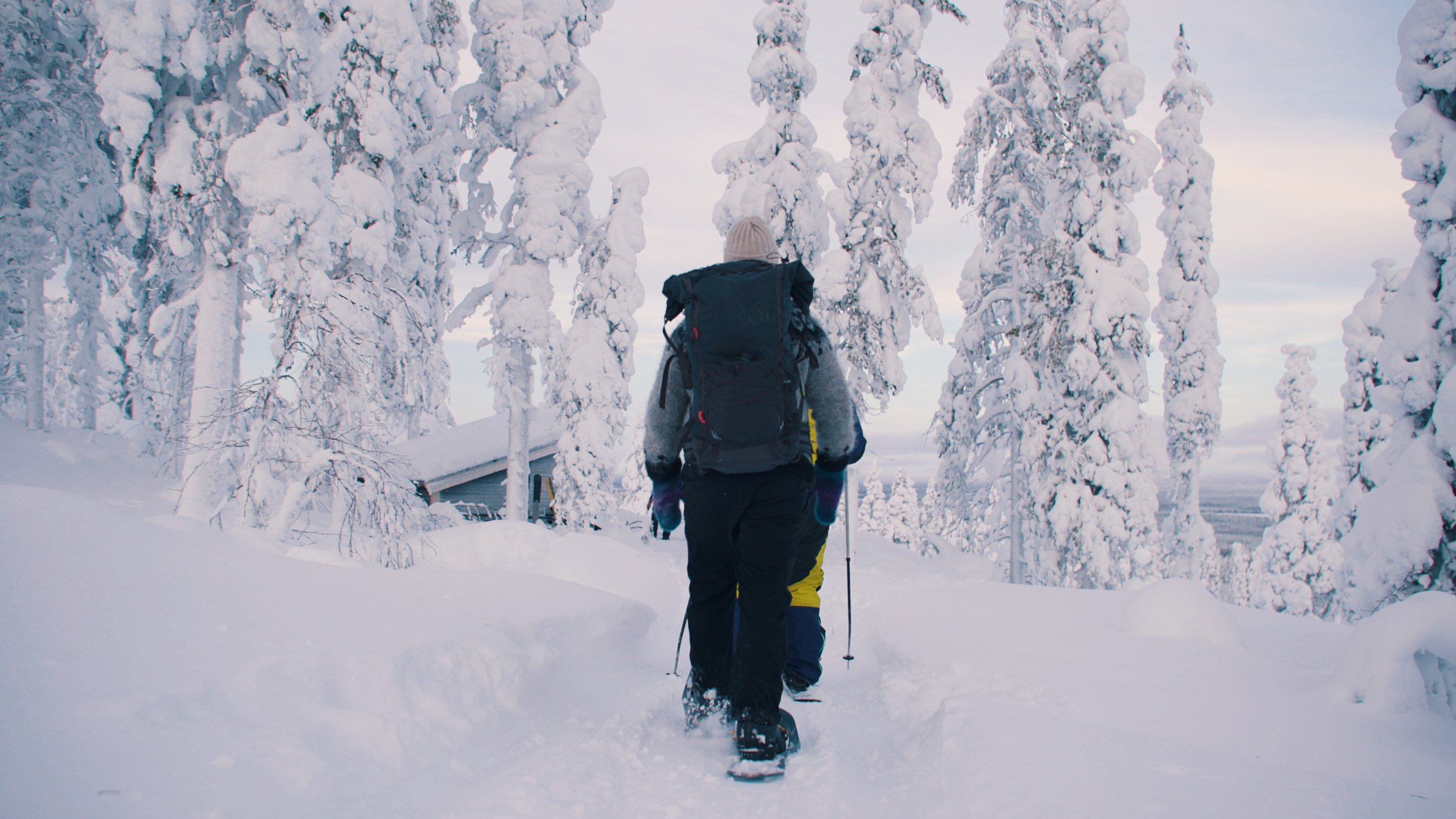 Person walking through a snowy forest with trees covered in snow, carrying a large backpack and using snowshoes in winter.