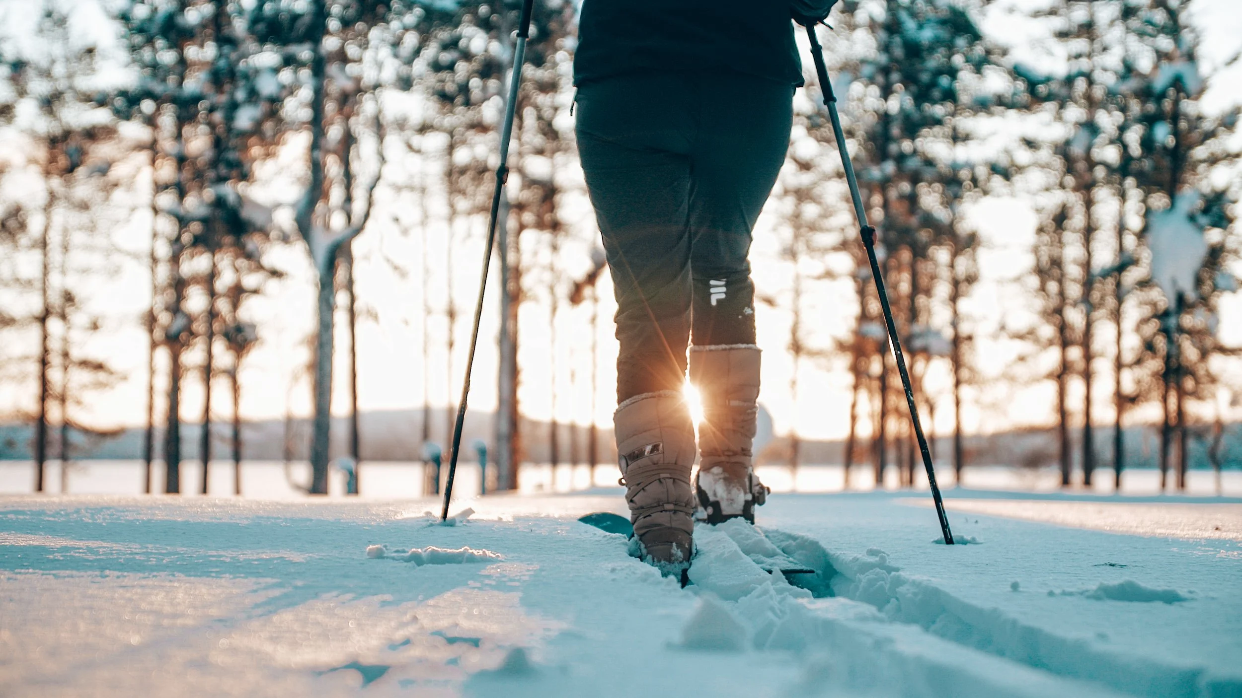 A person cross-country skiing on a snowy trail with tall trees and the setting sun in the background.
