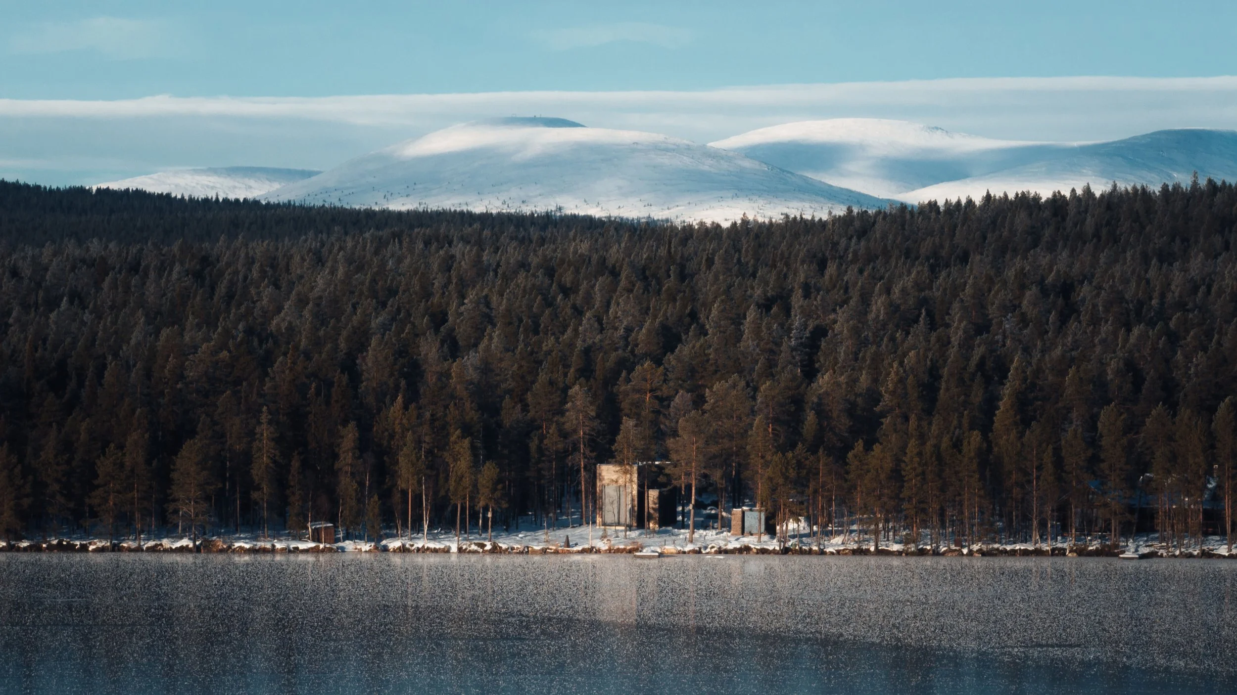 Snow-capped mountains in the background, a dense forest of evergreen trees in the middle, and a body of water in the foreground.