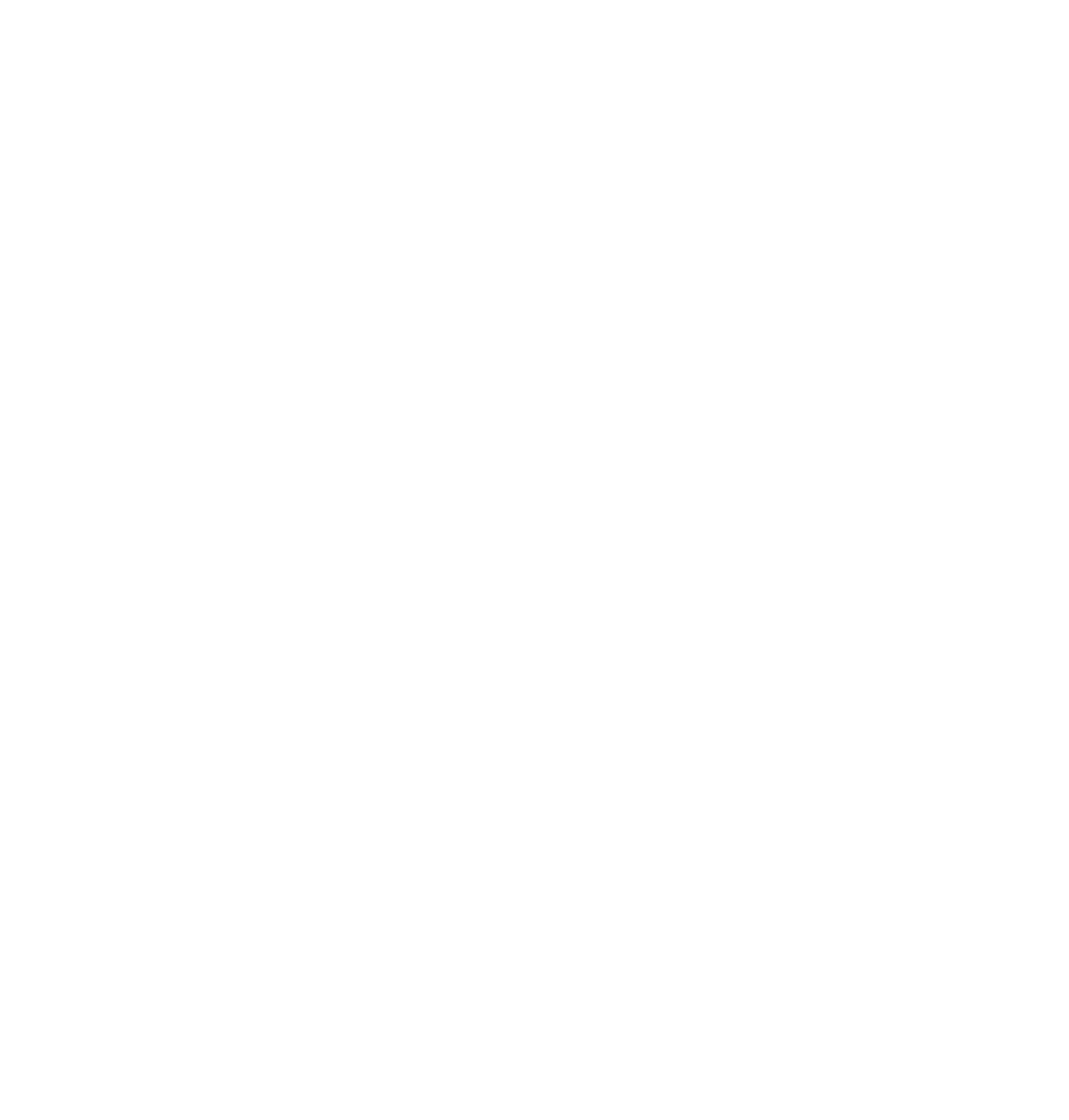 The image is a blank white background.