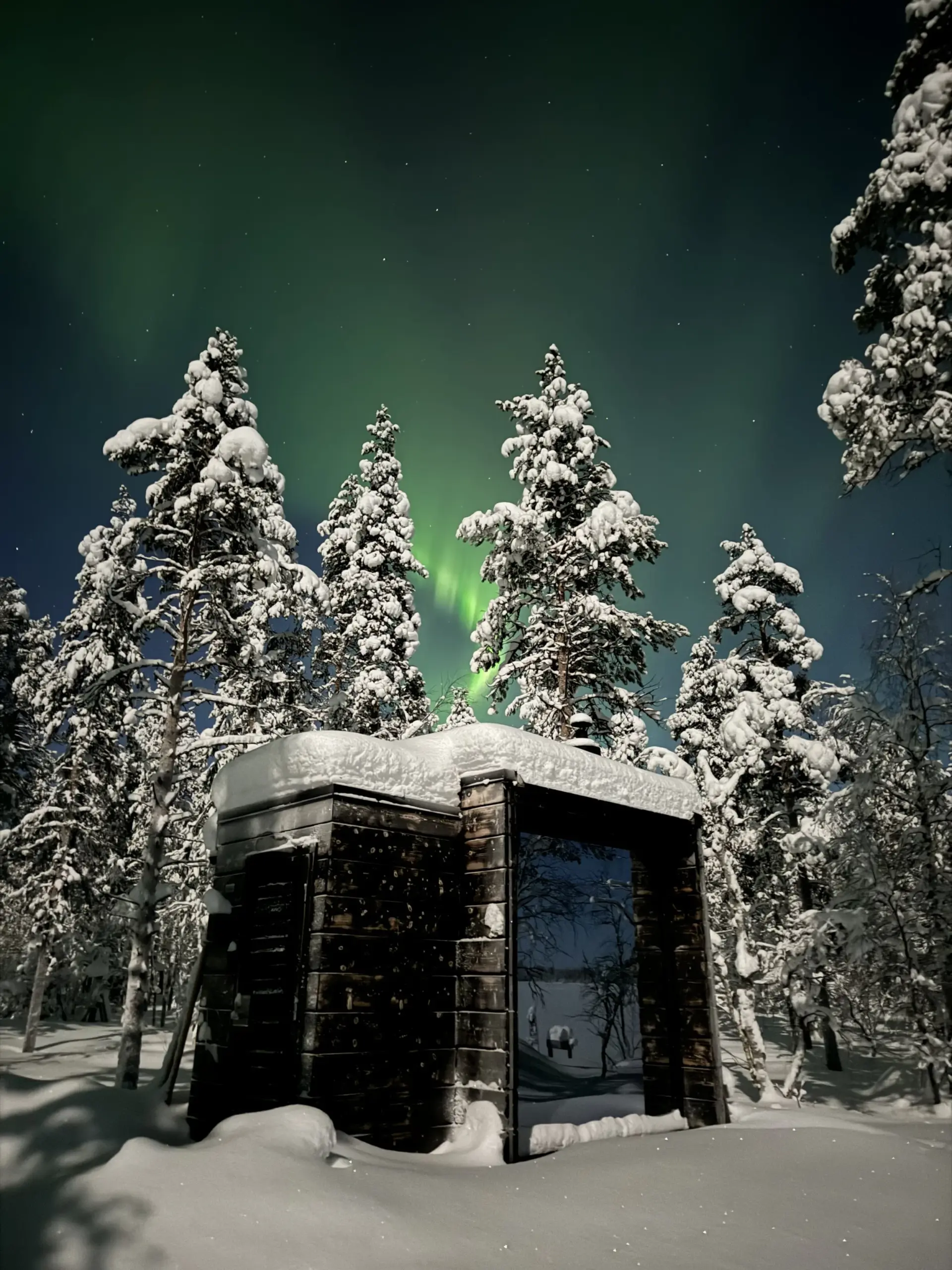 Snow-covered trees and a small wooden structure under a night sky illuminated by the northern lights.
